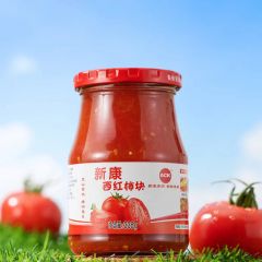 新康番茄块335g*15罐
