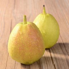 库尔勒香梨特大20枚礼盒