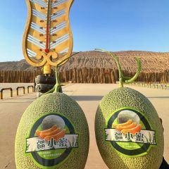 新疆哈密瓜（西州蜜25号）6斤装2枚