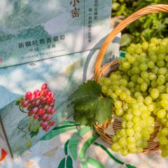 新疆无核白葡萄4斤（偏远地区不发货）