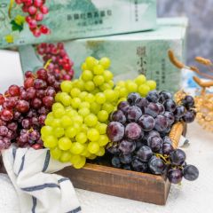 新疆三色葡萄4斤（偏远地区不发货）